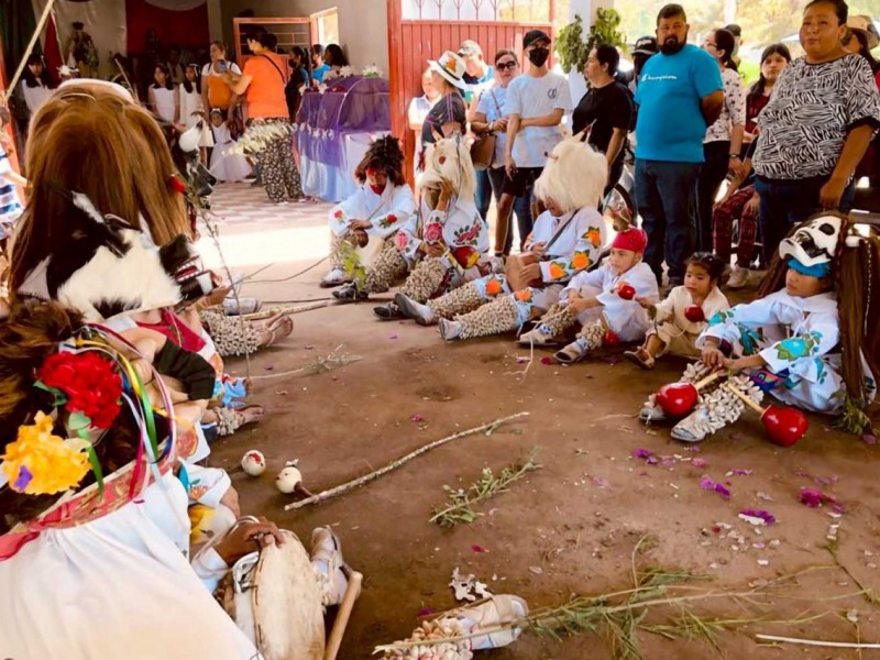 Buscan preservar tradiciones mayo yoreme