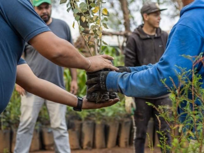 Buscan preservar zona cerril en Tangancícuaro