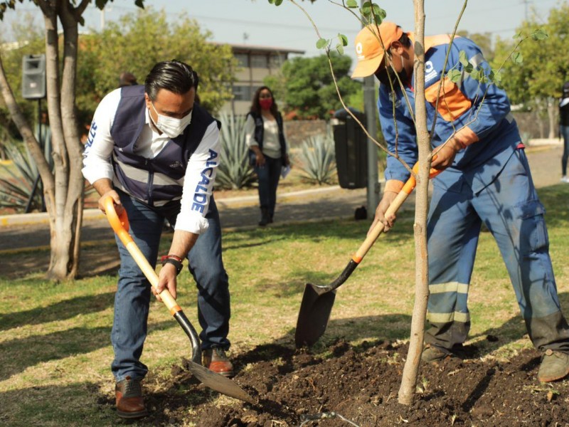 Buscan promover cuidado de árboles en Querétaro