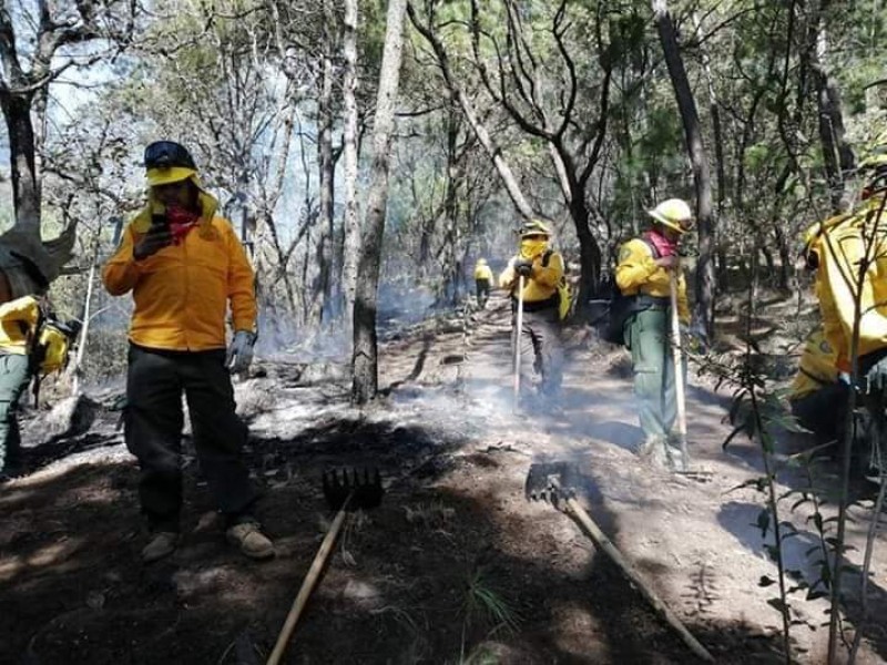 Buscan protección del Cerro de la Chuparrosa en Tangamandapio