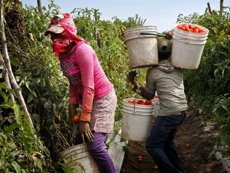 Buscan que patrón responda a jornaleros rescatados de campo agrícola