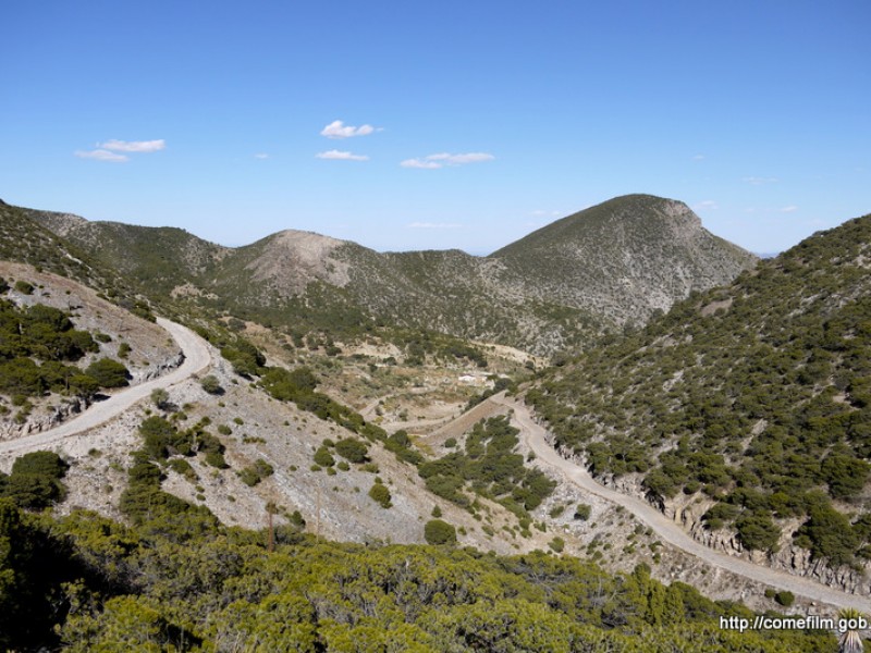 Buscan que semidesierto zacatecano sea zona típica