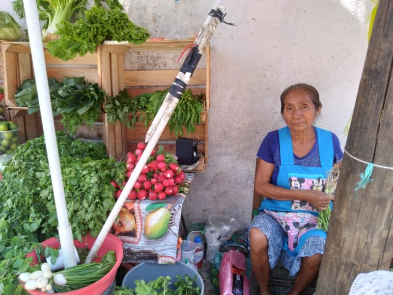 Buscan que Zihuatanejo sea reconocido como municipio de población indígena