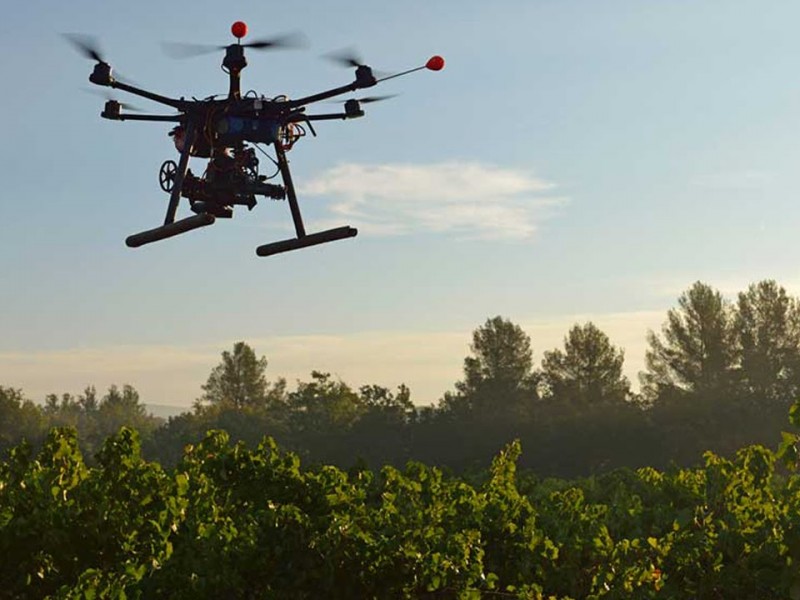 Buscan reforestar el Valle del Mayo mediante drones