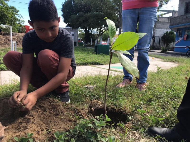 Buscan reforestar zona norte de Veracruz, para disminuir el calor