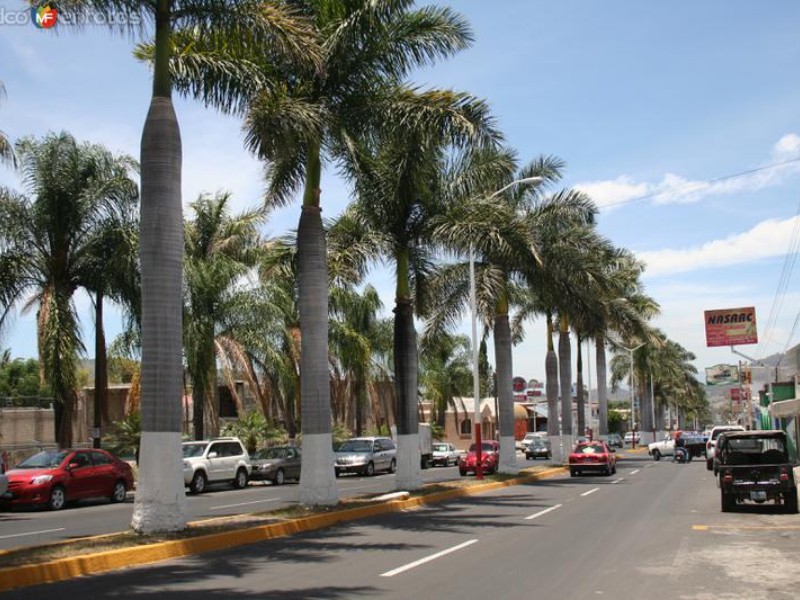 Buscan retomar proyecto  para rehabilitar la Av. Jacarandas