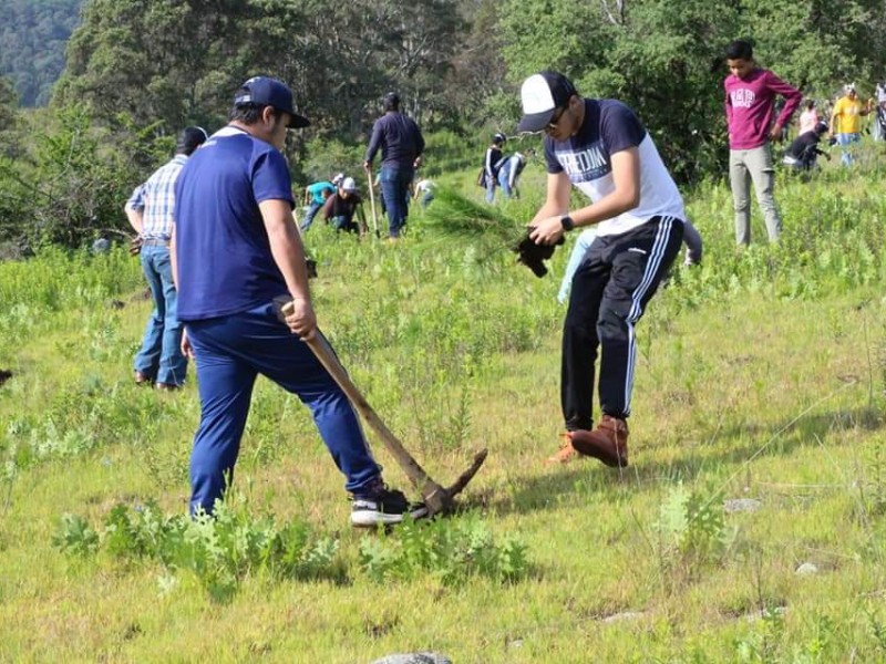 Buscan seguir acciones ambientales; reforestan cerro en Morelia