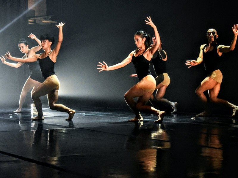 Buscará gobierno apoyar a artistas de danza