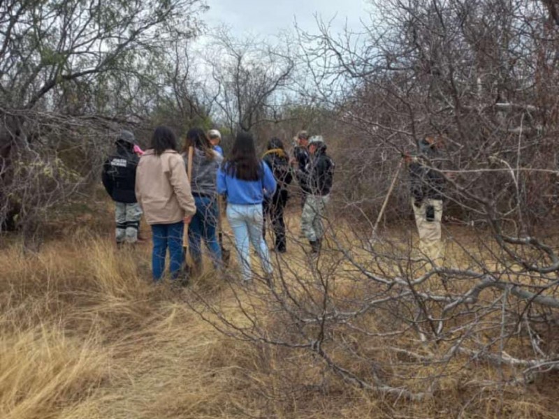 Búsqueda positiva en el Valle de Guaymas; localizan osamenta