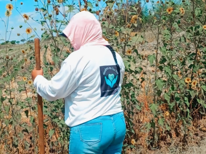 Búsquedas de desaparecidos avanzan sin apoyo, denuncian Madres Buscadoras