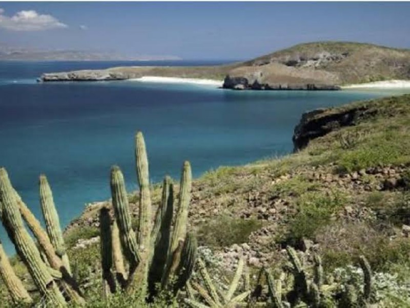 Cabo del Este contará con su propio PDU