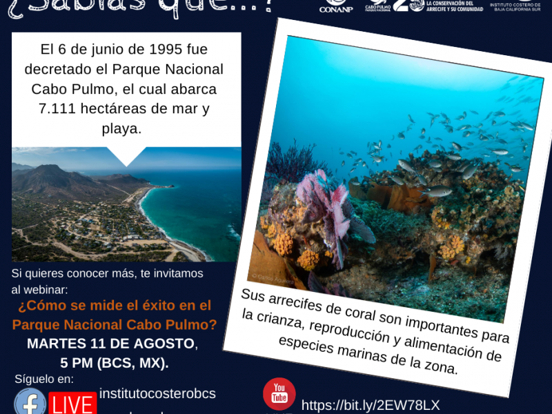 Cabo Pulmo celebra 25 años decretado como parque nacional