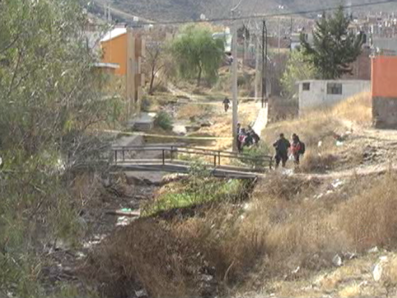 Cadáver de mujer es devorado por animales