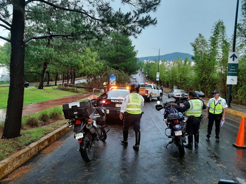 Cae árbol y se desborda canal por lluvias