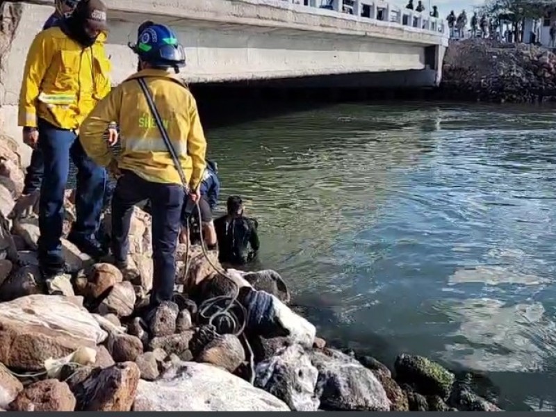 Cae auto al mar, buzos de bomberos inician rescates