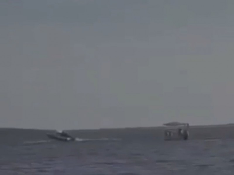 Cae ballena sobre embarcación menor en Topolobampo
