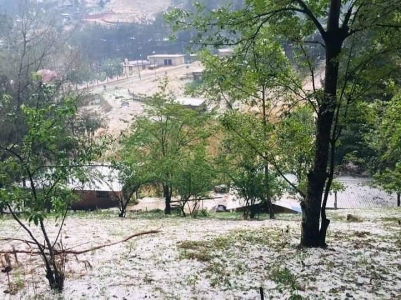 Cae fuerte granizada en la Sierra de Ajalpan