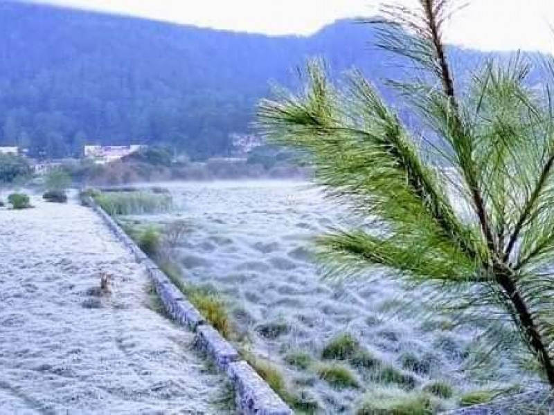 Cae helada en San Cristóbal, el termómetro marca cero grados