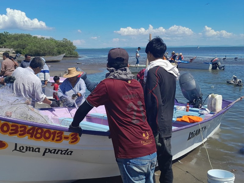 Cae la pesca de camarón en Yavaros:, tras el buen inicio