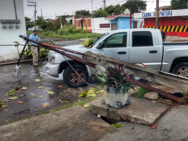 Cae luminaria y árbol sobre un automovil.