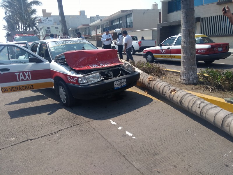 Cae palmera sobre taxi