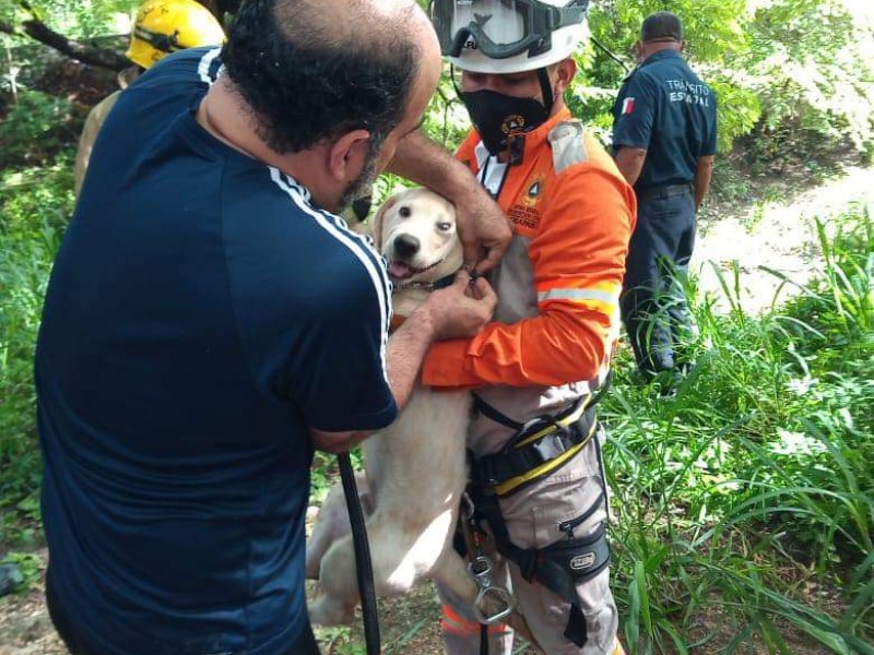 Cae persona a Río Sabinal cuando rescataba a perrito