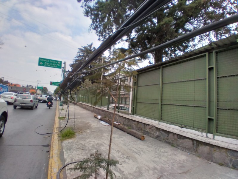 Cae poste y obstruye banqueta en Toluca