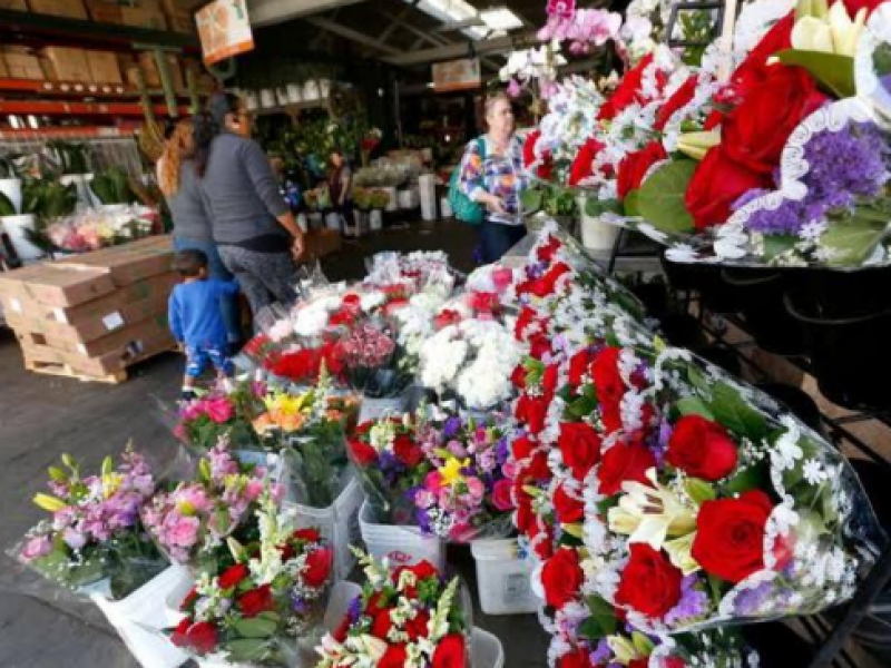 Cae venta de flores por suspensión de eventos sociales
