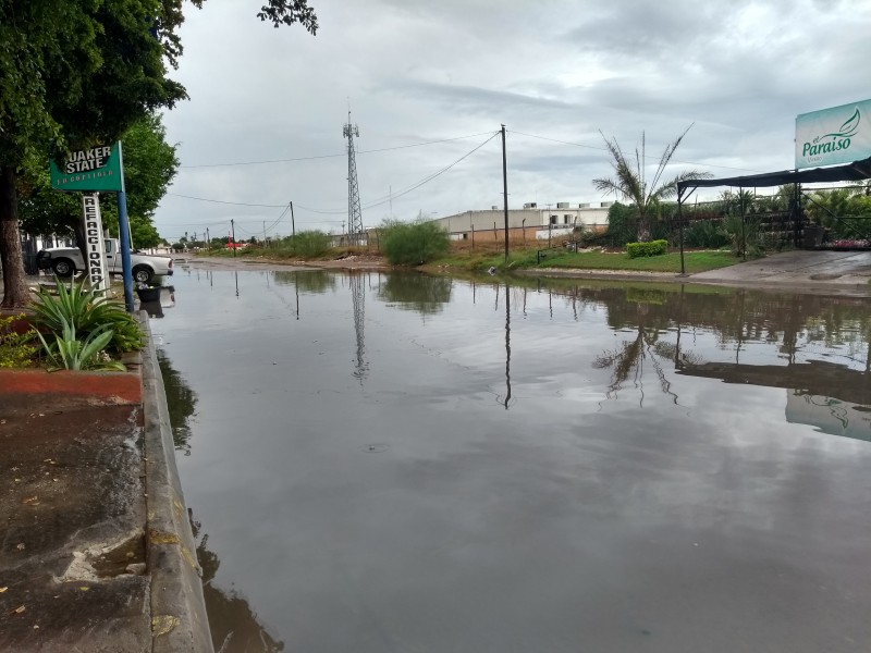 Caen 15.7 mililitros de lluvia en Los Mochis