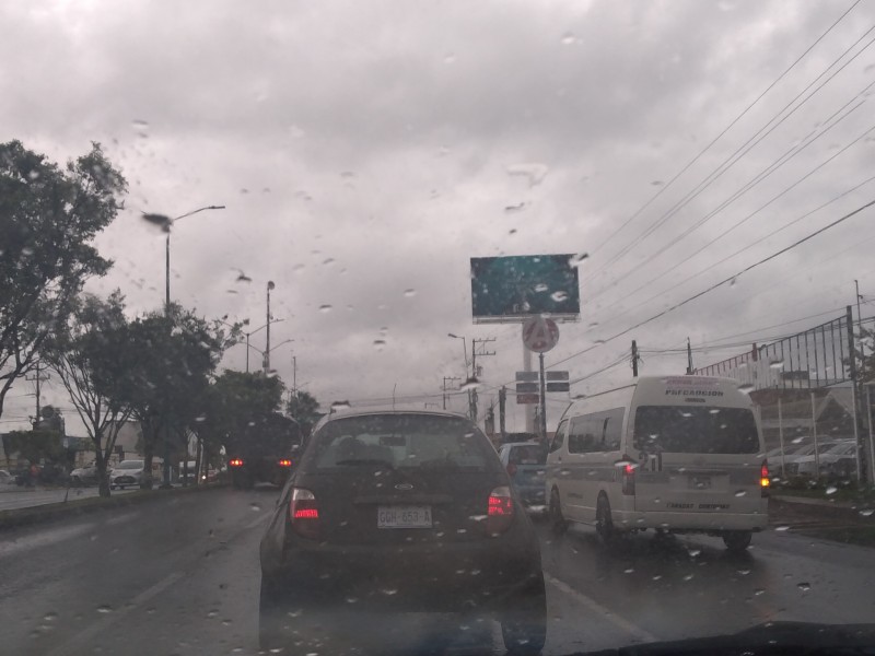 Caída de árbol y encharcamientos, tras fuertes lluvias en Morelia