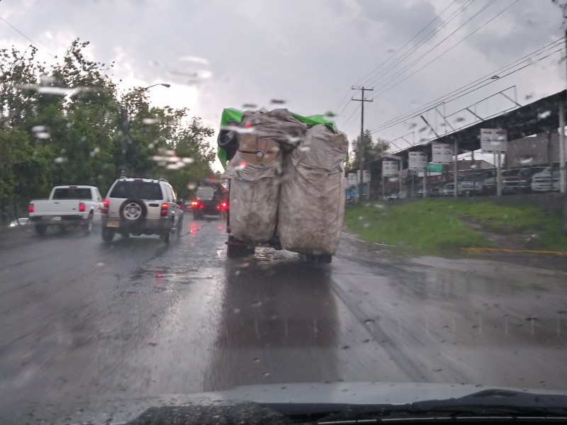 Caída de árbol y espectacular, saldo de lluvias