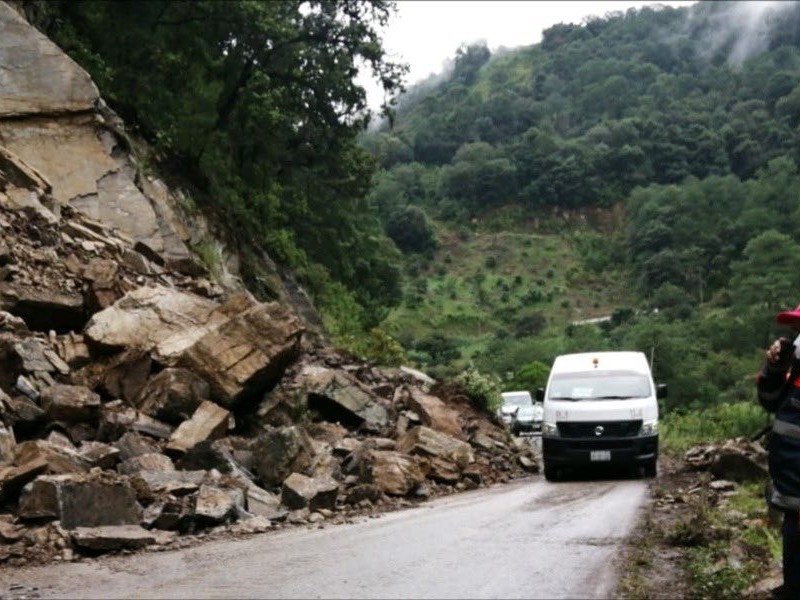 Caída de árboles y deslizamientos generados por lluvias en Puebla