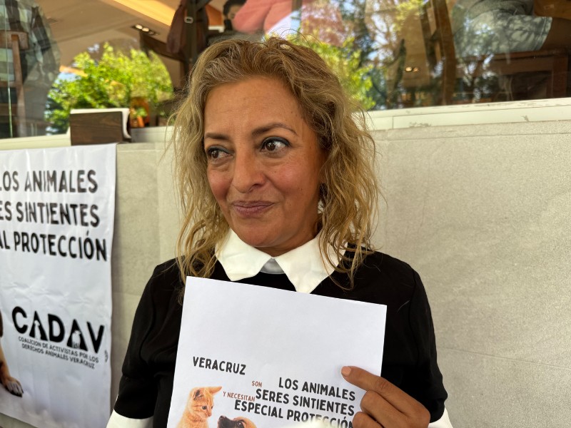 Caída de perritos desde azotea habría sido intencional, señalan