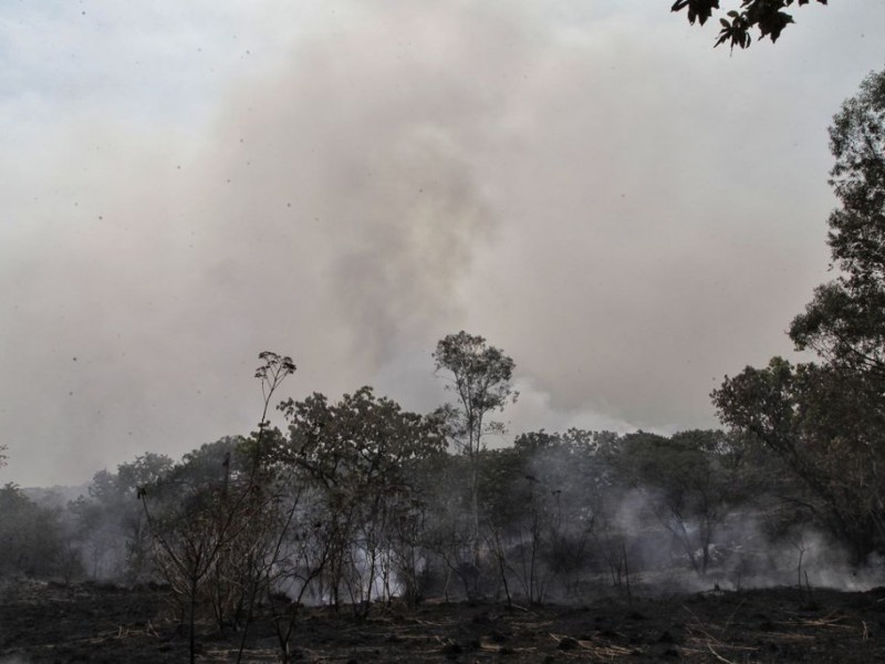 Caída de rayo provocó incendio en Bosque La Primavera