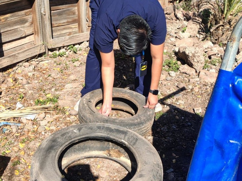Cajeme inicia campaña casa por casa para frenar criaderos de mosquitos