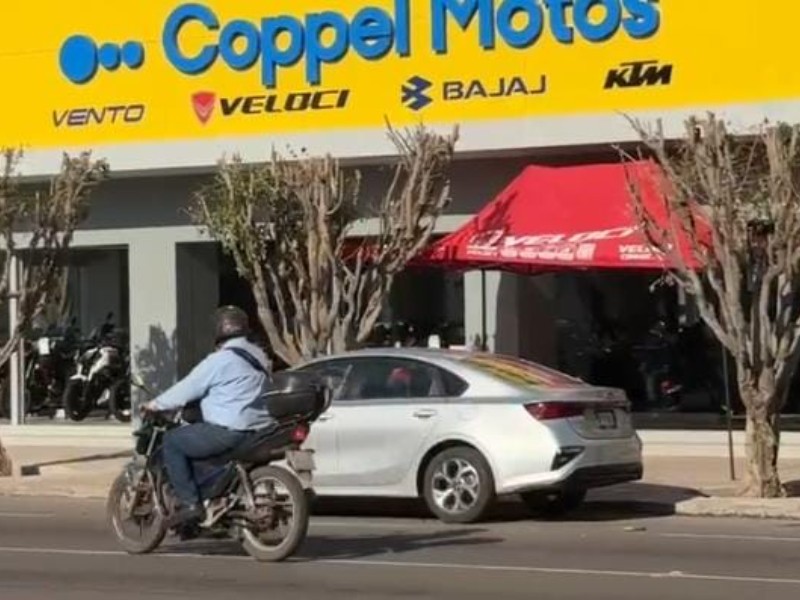 Cajeme: Realizan 142 revisiones de árboles este año para poda o tala