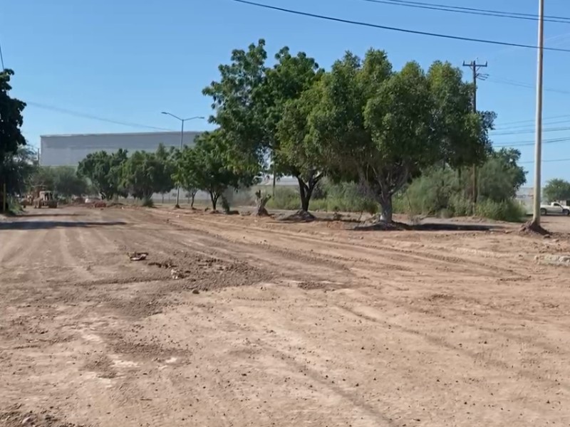 Cajeme no crecerá si no hay una verdadera estrategia: CANACINTRA