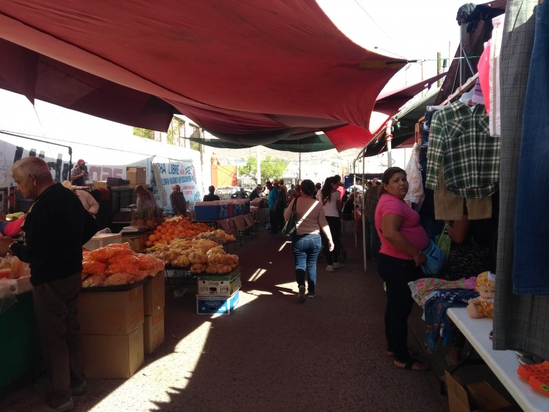 Califican como regular al Carnaval