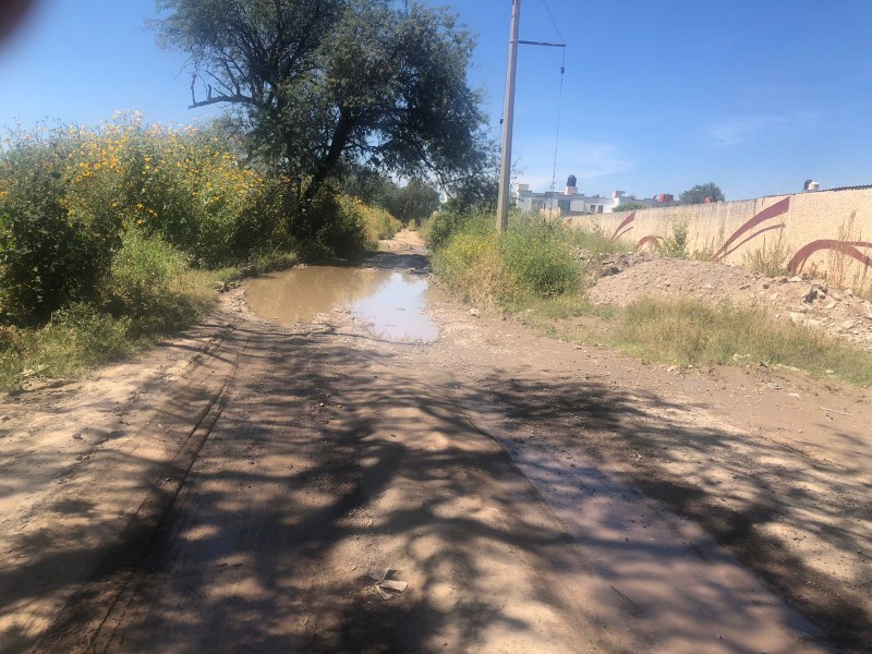 Calle Camino a los Fresnos en Silao, riesgo para peatones