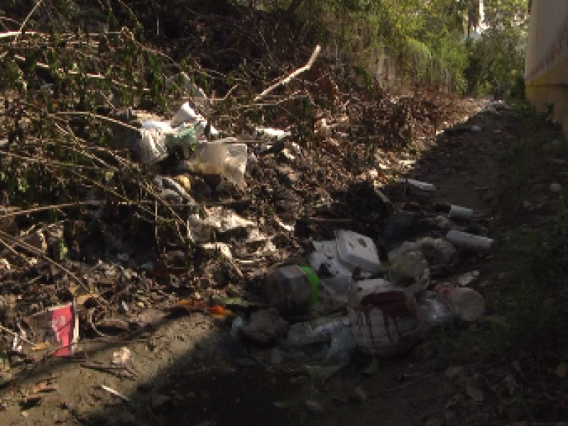 Calle de La Noria inhabilitada por escombros, maleza