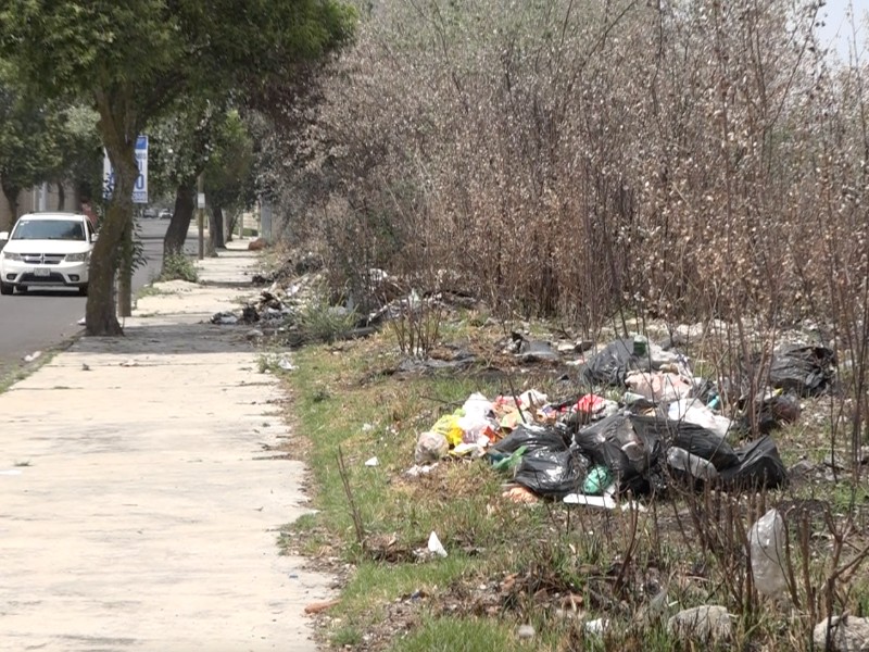 Calle Moctezuma en Metepec, convertida en basurero clandestino