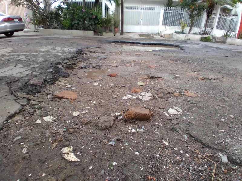 Calle V. Carranza lleva 30 años sin recibir mantenimiento