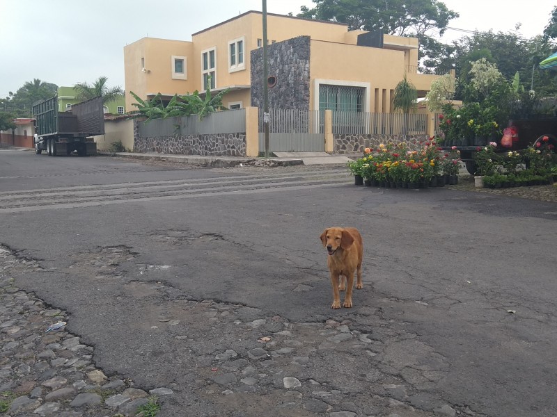 Calles de Cuauhtémoc en pésimas condiciones