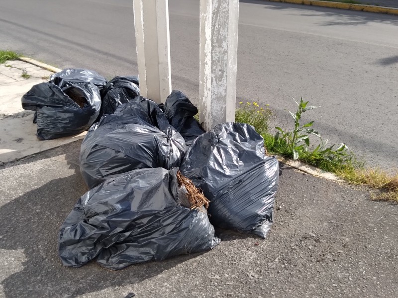 Calles de Toluca inundadas de Basura