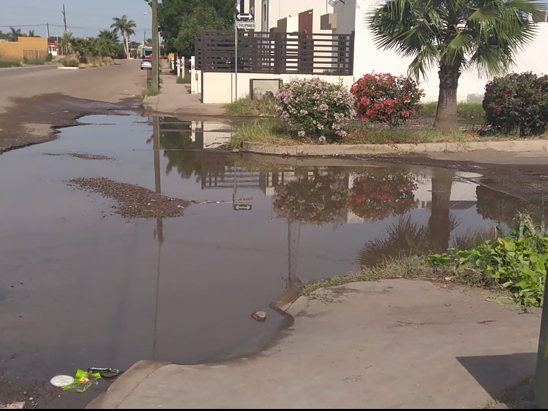 Calles infestadas por aguas negras en el mayo