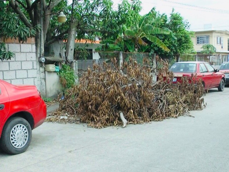 Calles y banquetas con basura que dejó Grace