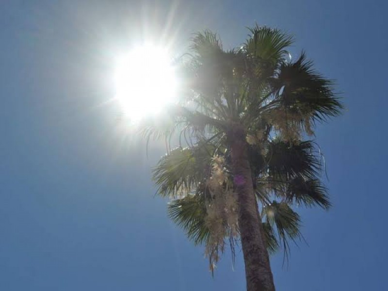 Calor considerado como factor de riesgo en Atlas de Torreón