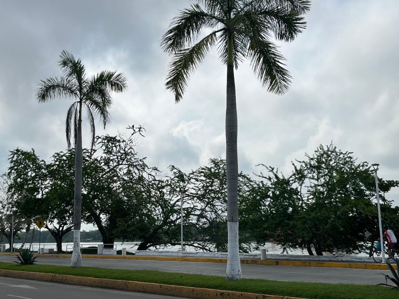 Calor y clima soleado en el norte de Veracruz