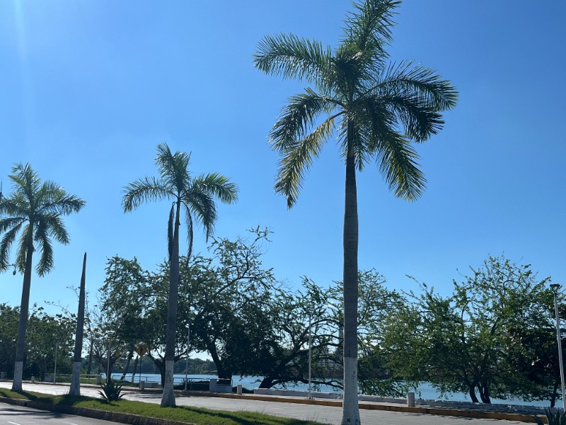 Calor y vientos dominantes en el norte de Veracruz