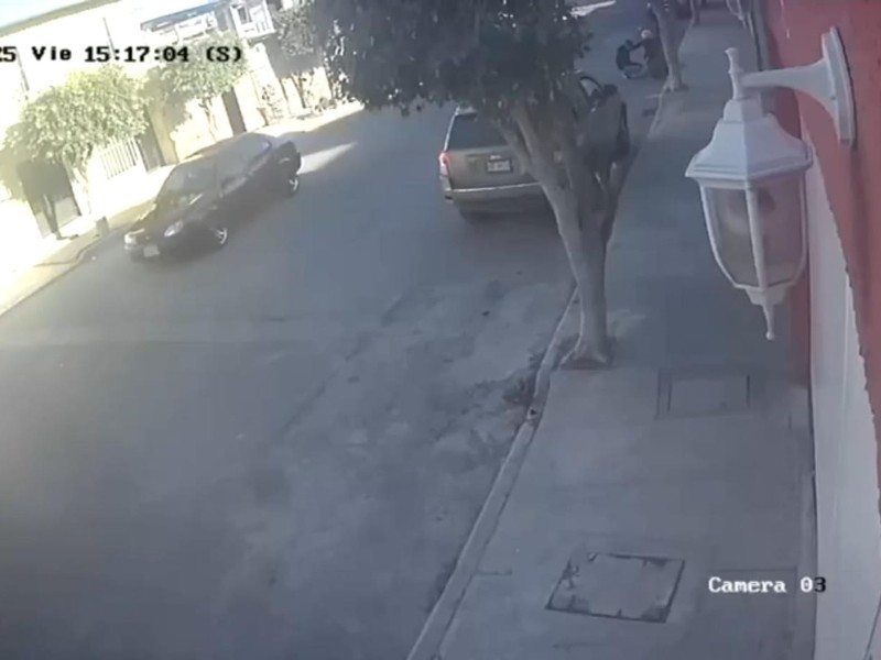 Cámara capta atropellamiento de perrita, por automóvil a presunto exceso de velocidad Cámara capta atropellamiento de perrita, por automóvil a presunto exceso de velocidad